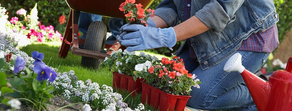 Záhrada na jar – čo je potrebné urobiť, aby všetko dobre dopadlo